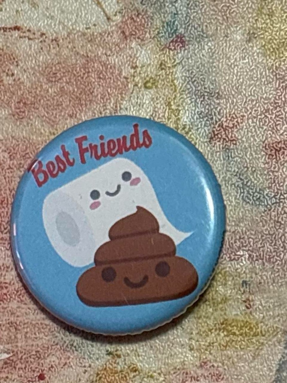 Best Friends Blue Novelty Pin Button - Cute Toilet Paper & Poop Design